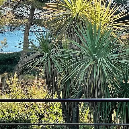 דירה Vue Et Pieds Dans L'eau *