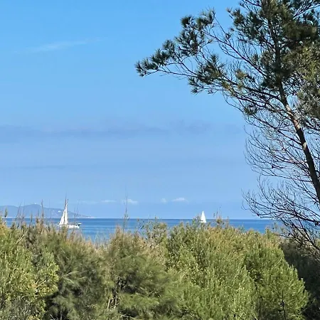 Vue Et Pieds Dans L'eau הייר